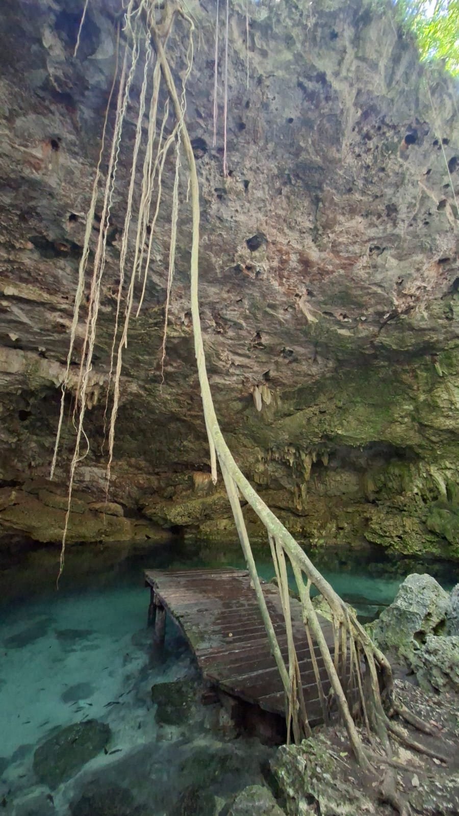 Cenote en Riviera Maya