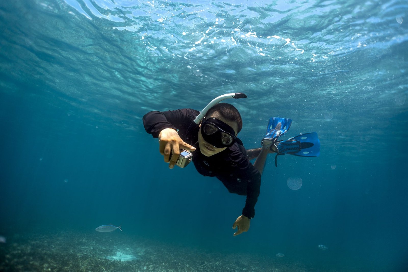 Snorkel en Riviera Maya